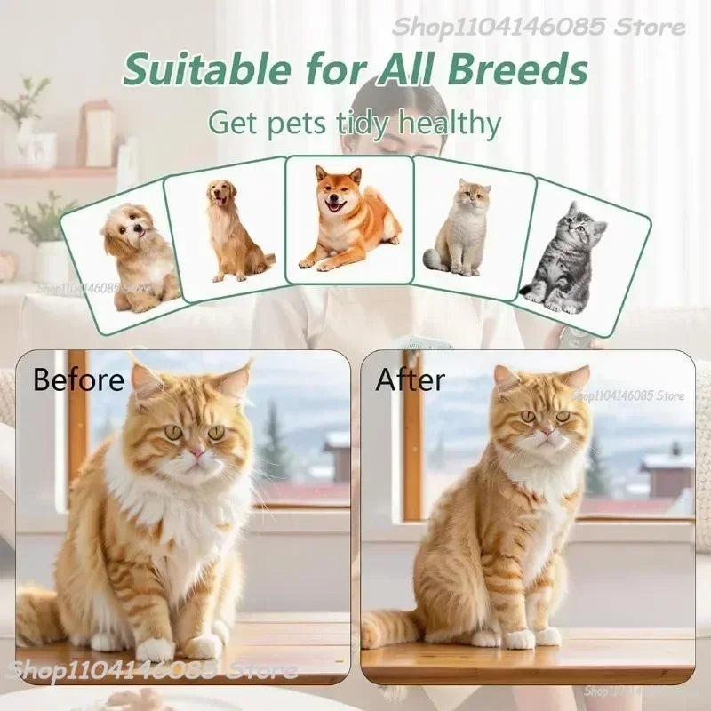 https://cdn.dropmagic.ai/medias/193dc466-b053-42b5-b3c4-b9e21ecac142.webp